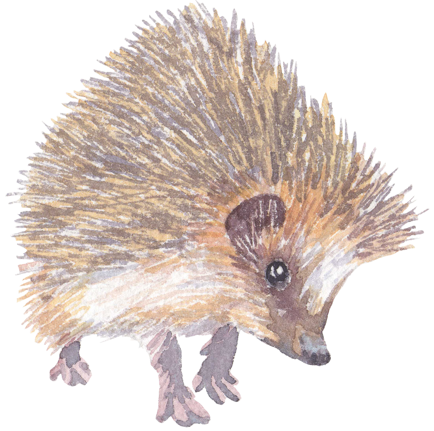 325 Hedgehog Personalised Self Adhesive Address Handmade by Labels Stickers