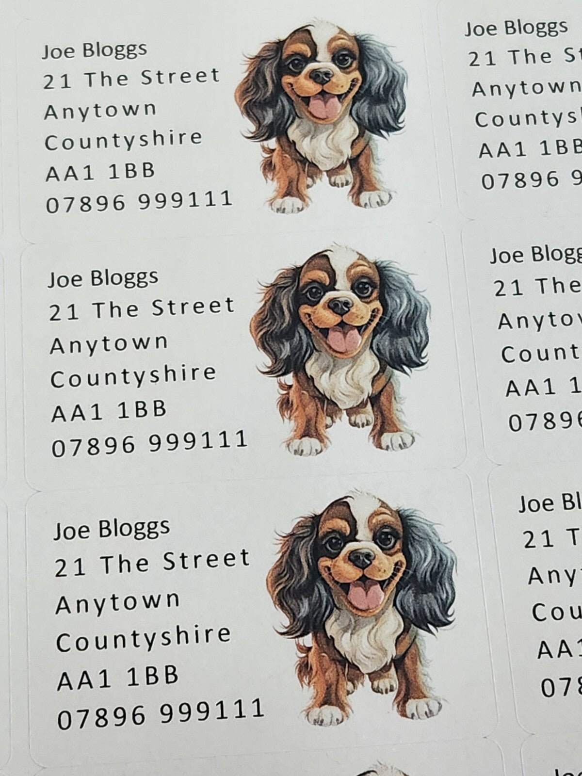 Dog Address Labels x 84 Personalised Self Adhesive Stickers