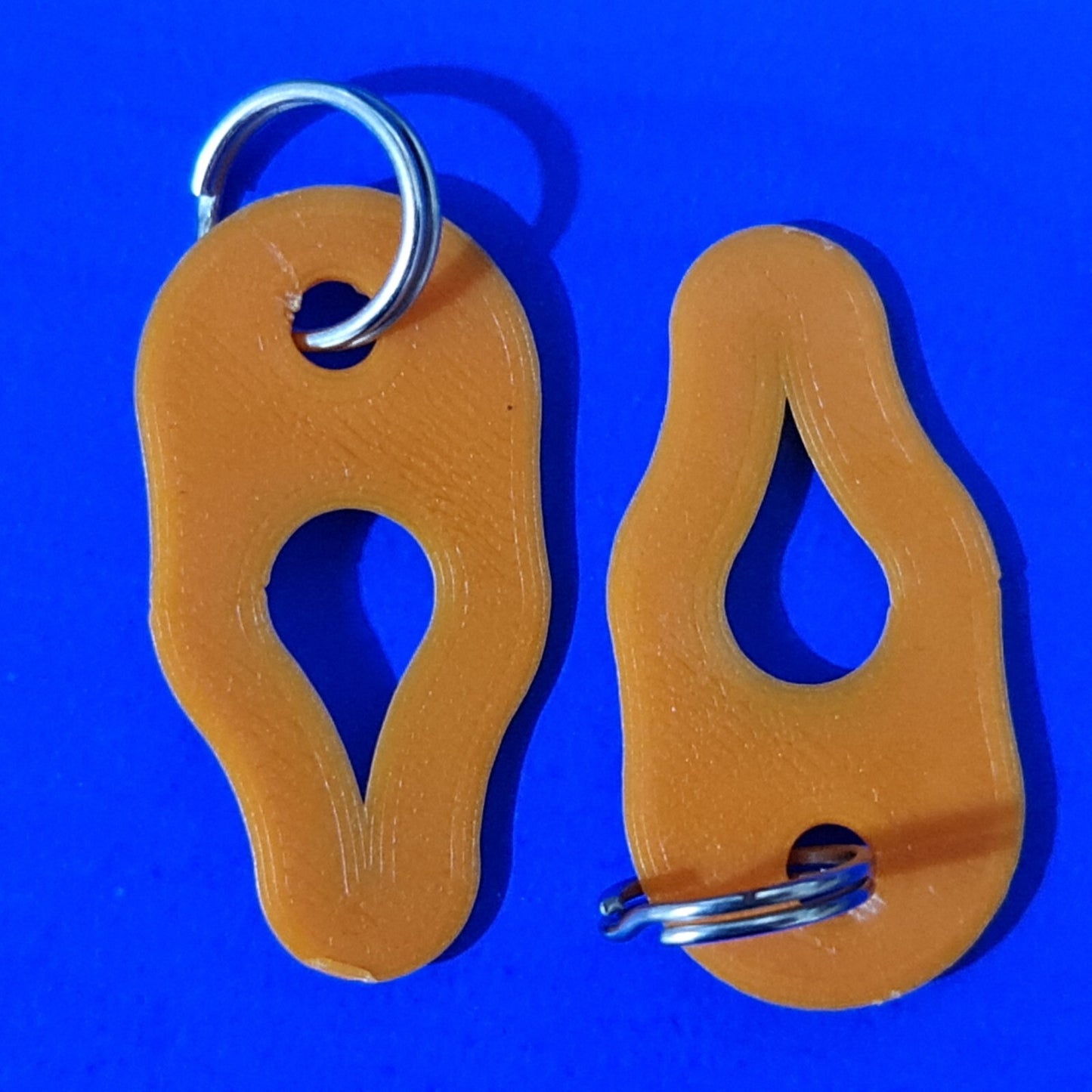 Key Ring Tick Removal Tools PLA Plastic Biodegradable, dog cat horse