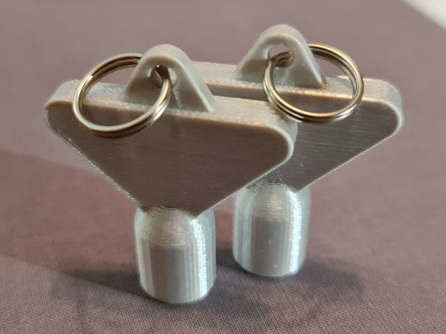2 x Gas Electric Meter Box Utility Key Cupboard Silk Silver PLA Plastic