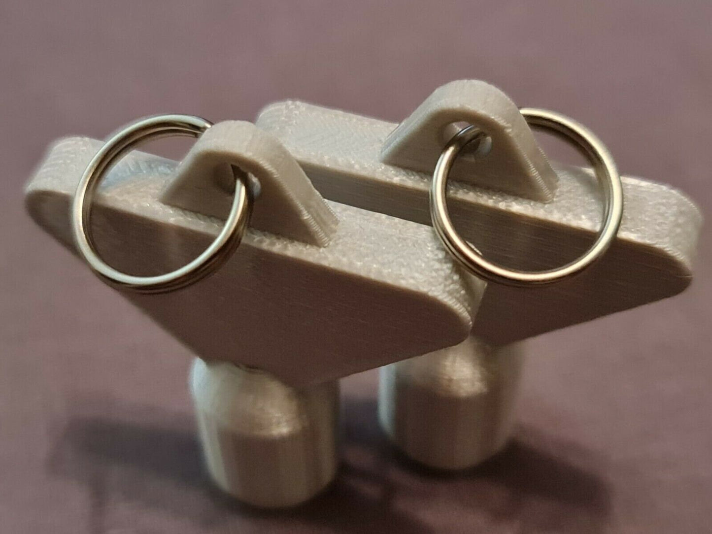 2 x Gas Electric Meter Box Utility Key Cupboard Silk Silver PLA Plastic
