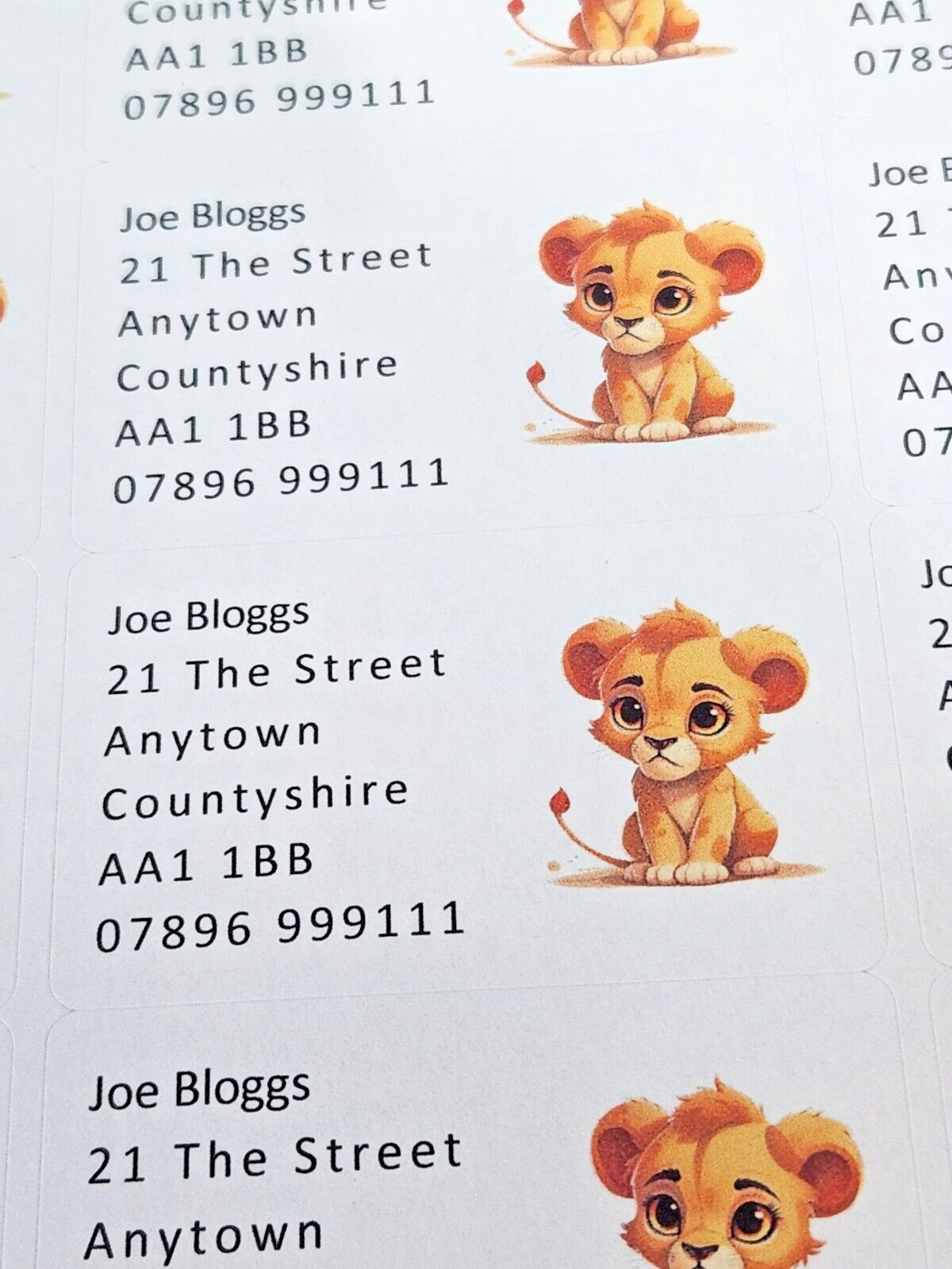 84 x Cute Baby Animals - Lion Cub Personalised Name & Address Labels Stickers