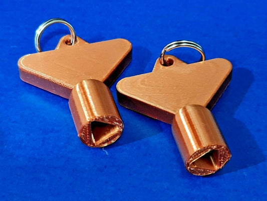 2 x Gas Electric Meter Box Utility Key Cupboard Copper PLA Plastic Biodegradable