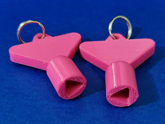 2 x Gas Electric Meter Box Utility Key Cupboard Pink PLA Plastic Biodegradable